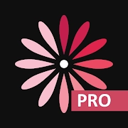 WomanLog Pro 日历