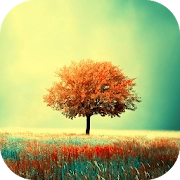 Awesome-Land Live wallpaper HD